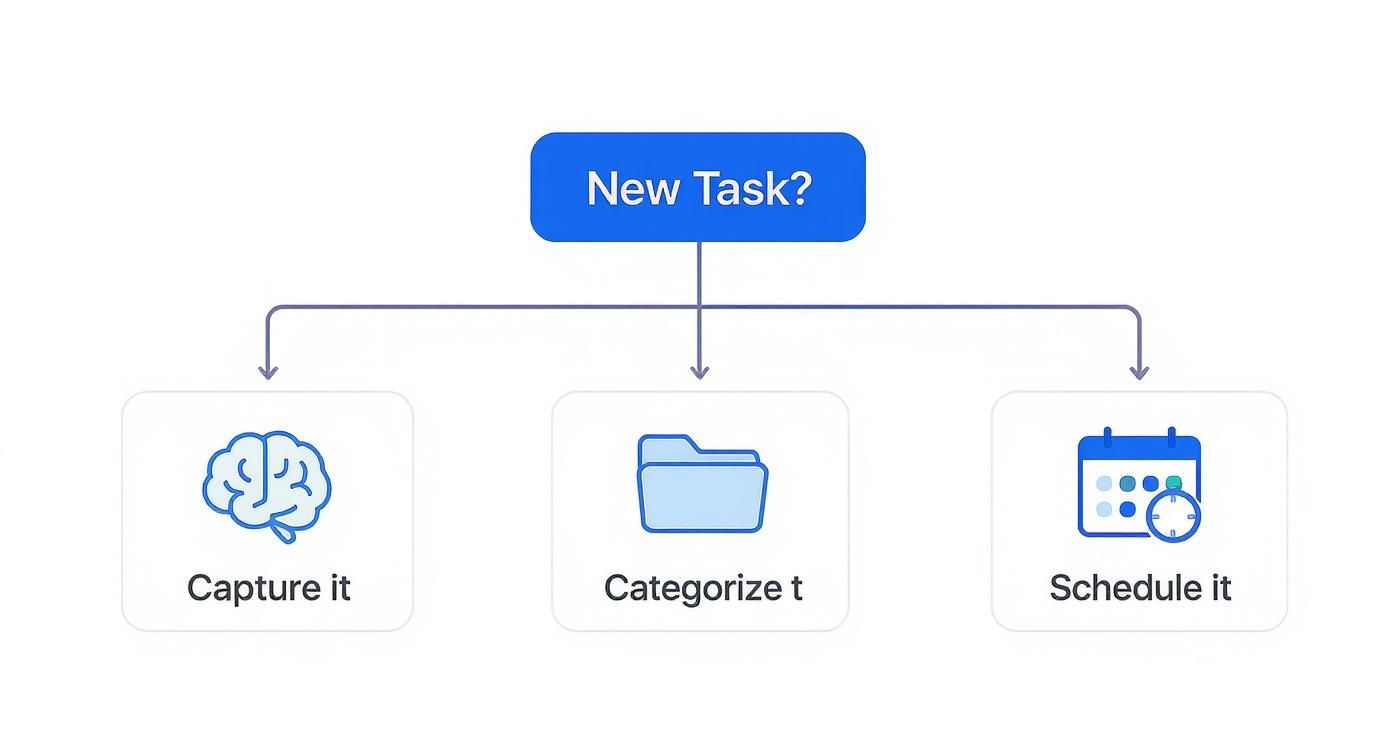 Infographic about how to organize work tasks