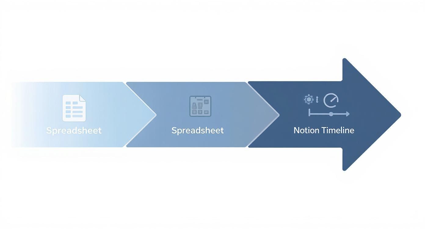 Infographic about project timeline template free
