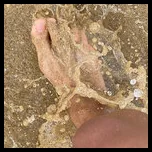 Feet Influencer (@feetinfluencer)