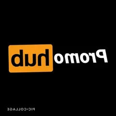 The Promo Hub (@promohub)