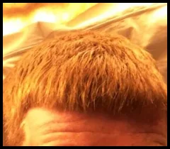 Hard Ginger Cock! (@hardgingercock)