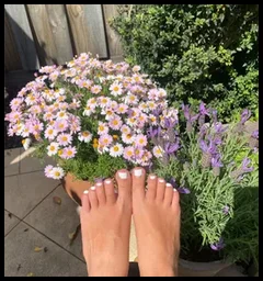 PippasPiggies (@pippaspiggies)